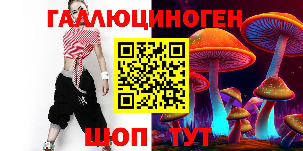 Лыткарино  как найти   Вход с VPN  Галлюциногенные грибы Psilocybine cubensis 